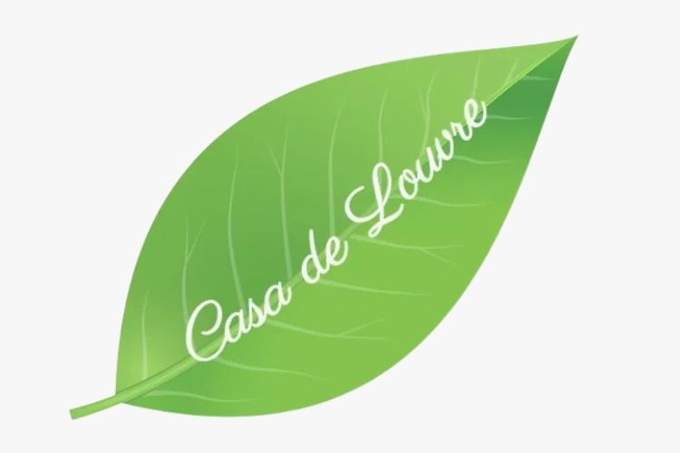 Casa De Louvre
